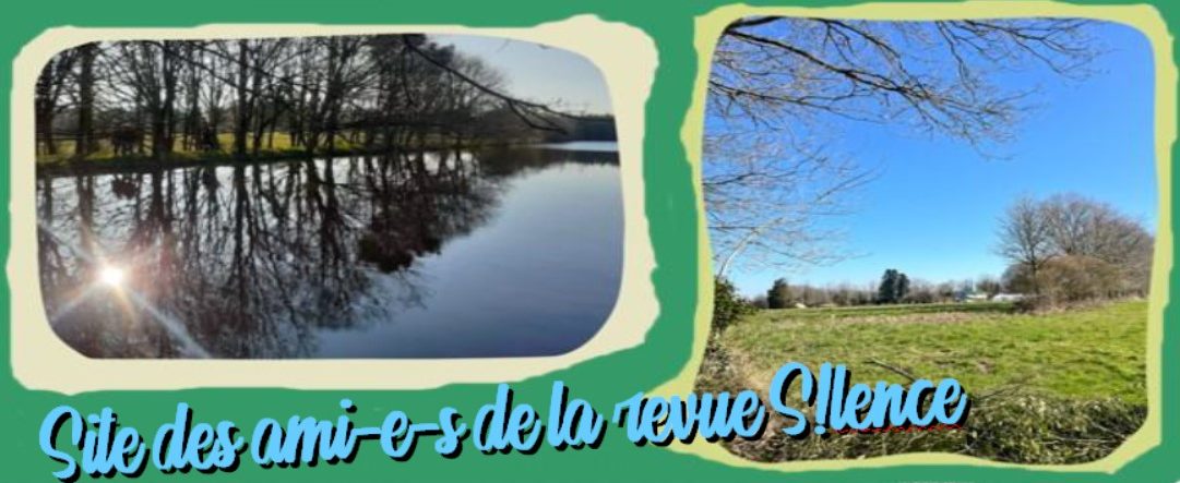 Les ami-e-s de S!lence